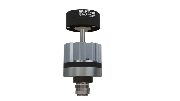 WiPT-es C